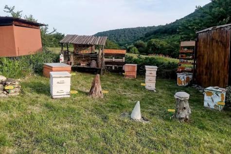 BEE FARM VOYVODA