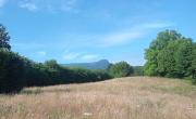 BABOU MARAMURES