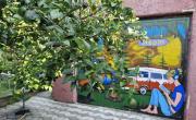 STEPIN GARDEN