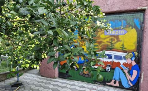 STEPIN GARDEN