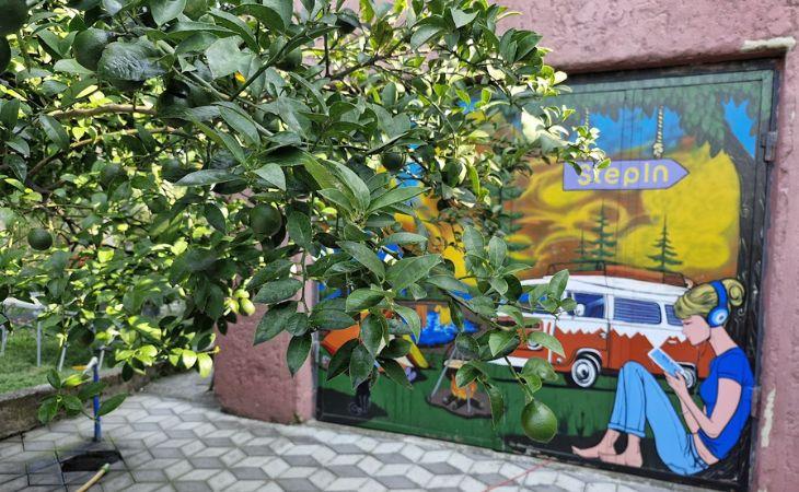 STEPIN GARDEN