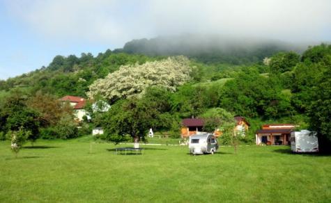 TRANSILVANIA