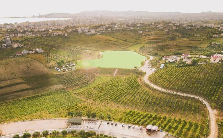 WONDERFUL
