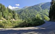 WONDERLAND SVANETI